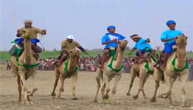 مهرجان تراثي في النخيلة بالحديدة يحتفي بموسم التمور ويدعم المنتج المحلي