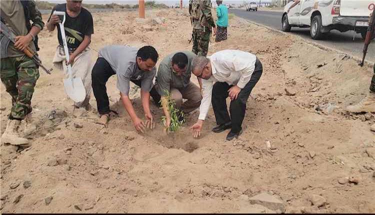 مدير عام البريقة يدشن مشروع تشجير الطريق العام بزراعة ألف شتلة لتحسين البيئة

