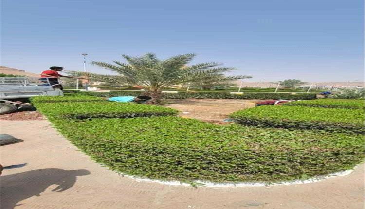 حملة نظافة وتحسين تستهدف جولة الغرف ضمن جهود تجميل مدينة تريم