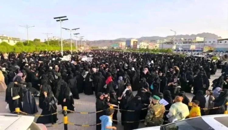 منظمة 