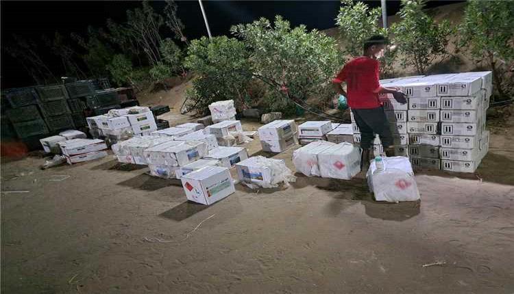 الأمن الوطني بلحج يضبط شحنة مبيدات حشرية تالفة ومهربة للمرة الثالثة خلال شهر