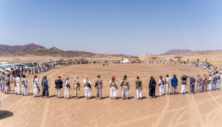 قبائل أرحب تؤكد الاستجابة للنفير العام وإسناد القوات المسلحة في معركة فجر اليمن
