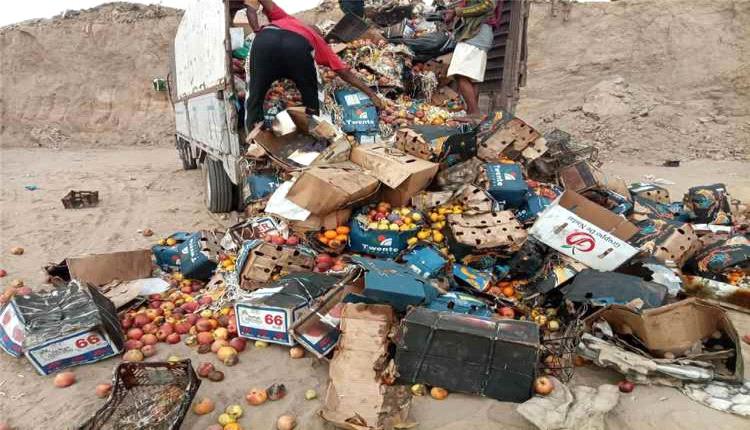 صحة البيئة بالمنصورة تتلف 20 طنا من الفواكه الفاسدة في عدن